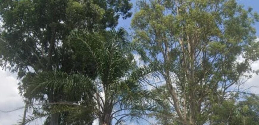 Terreno plano de 2.355 m² no Jaraguá, ótimo para instalar sua empresa ao lado da Voith empresa Alemã de engenharia Mecanica.