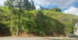 Terreno plano de 2.355 m² no Jaraguá, ótimo para instalar sua empresa ao lado da Voith empresa Alemã de engenharia Mecanica.