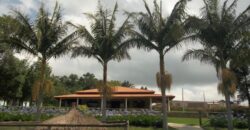 Ótimo Terreno de 28.364.40 m² com A/C de 1.317.16 onde esta instalado a Fazendinha Santa Adélia, Bairro Cangueira na Rota do vinho em são Roque.