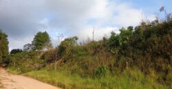 Área Industrial de 176.500 m² em Itapecerica da Serra Km 293 da Rodovia Regis Bitencourt.