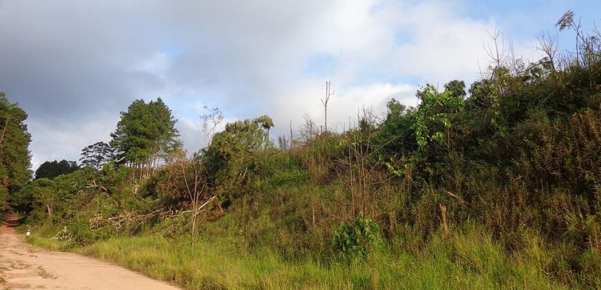 Área Industrial de 176.500 m² em Itapecerica da Serra Km 293 da Rodovia Regis Bitencourt.
